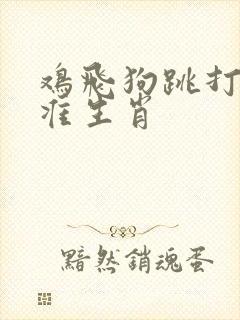 鸡飞狗跳打一精准生肖