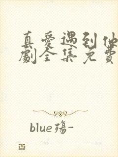 真爱遇到他电视剧全集免费