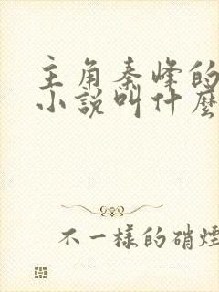 主角秦峰的官场小说叫什么名字啊
