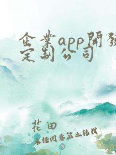 企业app开发定制公司 企业app开发定制公司