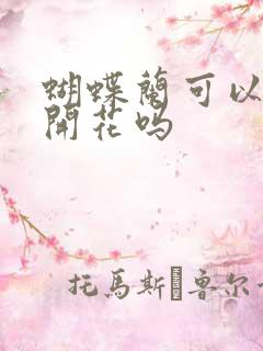 蝴蝶兰可以反复开花吗