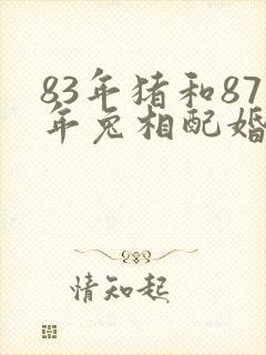 83年猪和87年兔相配婚姻如何