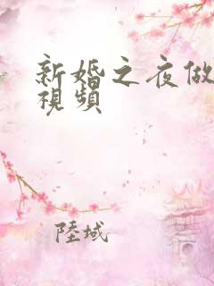 新婚之夜做的爱视频