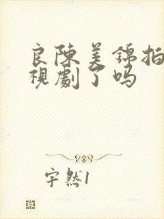 良陈美锦拍成电视剧了吗