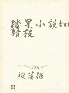 踏星小说txt精校 踏星小说txt精校