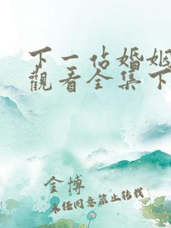 下一站婚姻免费观看全集下载