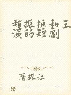 赵振栋和王小亿演的短剧