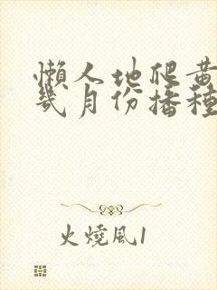 懒人地爬黄瓜是几月份播种的