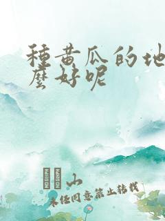 种黄瓜的地种什么好呢 种黄瓜的地种什么好呢