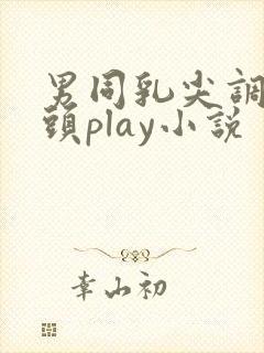 男同乳尖调教奶头play小说