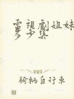 电视剧姐妹情缘多少集