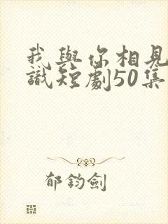 我与你相见不相识短剧50集剧情介绍