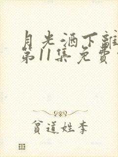 月光洒下离人巷第11集免费观看