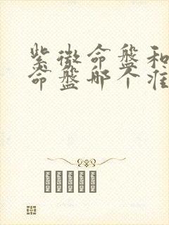 紫微命盘和八字命盘哪个准