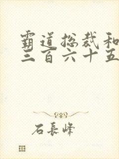 霸道总裁和我的三百六十五天