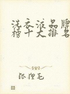 洗衣液品牌排行榜十大排名