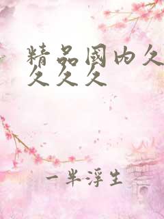 精品国内久久久久久久