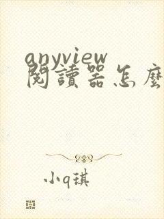 anyview阅读器怎么导入小说