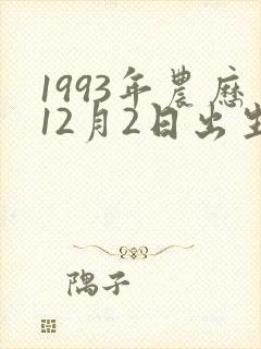 1993年农历12月2日出生生辰八字