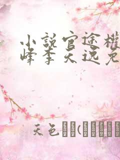 小说官途权力巅峰李天逸免费阅读
