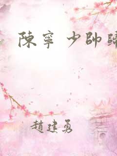 陈宁 少帅归来