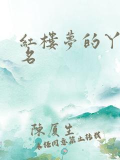 红楼梦的丫鬟排名