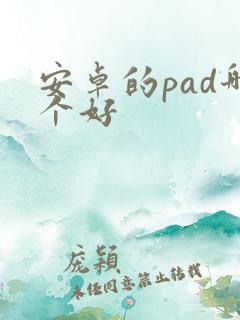 安卓的pad哪个好
