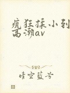 疯狂揉小到失禁高潮av