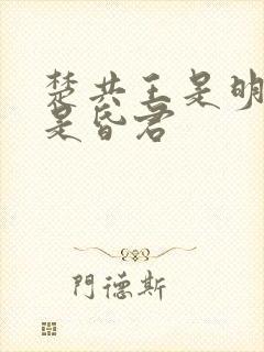 楚共王是明君还是昏君