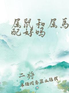 属鼠和属马的婚配好吗