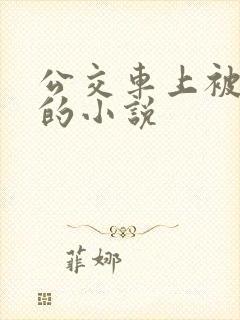 公交车上被插入的小说