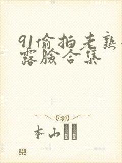 91偷拍老熟女露脸合集