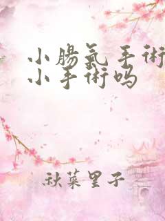 小肠气手术是个小手术吗