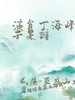 演员丁海峰的妻子是谁