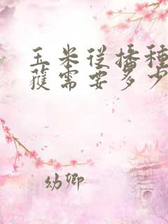 玉米从播种到收获需要多少时间