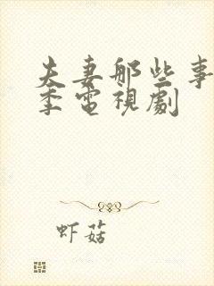夫妻那些事第二季电视剧