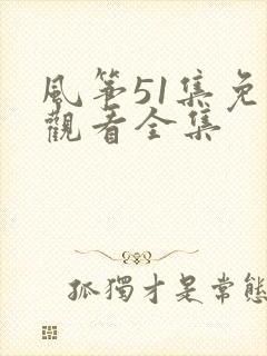 风筝51集免费观看全集