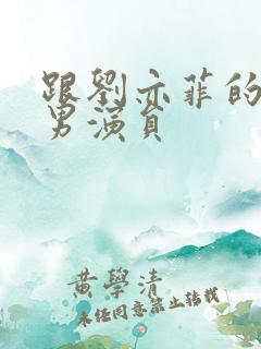 跟刘亦菲的韩国男演员