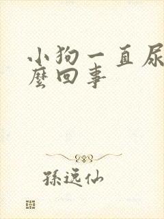 小狗一直尿频怎么回事