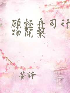 顾轻舟司行霈人物关系
