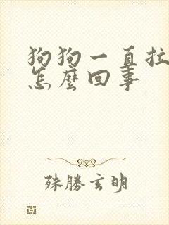 狗狗一直拉软便怎么回事