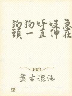狗狗呼吸急促舌头一直伸在外面