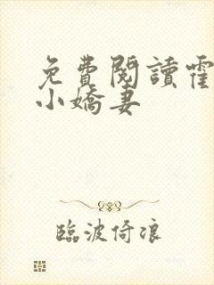免费阅读霍总的小娇妻