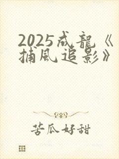 2025成龙《捕风追影》电影在线观看