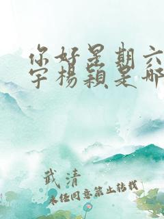 你好星期六王安宇杨颖是哪一期