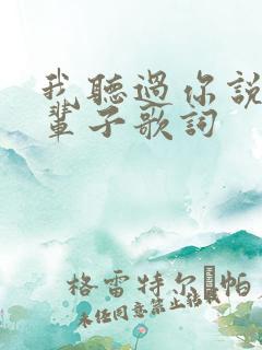 我听过你说好一辈子歌词