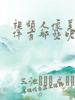 视频人像美颜软件有哪些呢