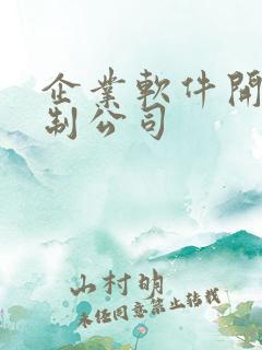 企业软件开发定制公司