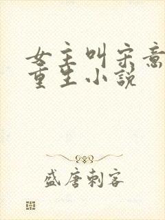女主叫宋意欢的重生小说