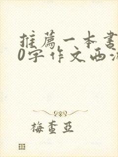 推荐一本书600字作文西游记